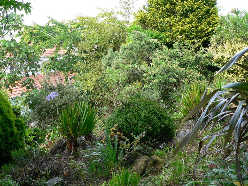Mount Hobson Apartments Auckland Luaran gambar