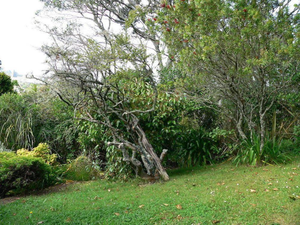 Mount Hobson Apartments Auckland Luaran gambar